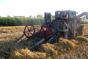 Dreschen1