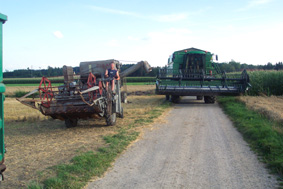 Dreschen2