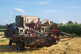 Dreschen3